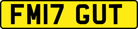 FM17GUT