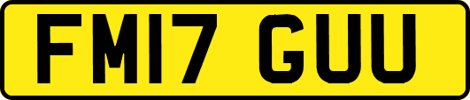 FM17GUU