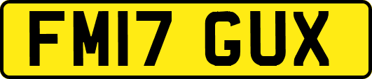 FM17GUX