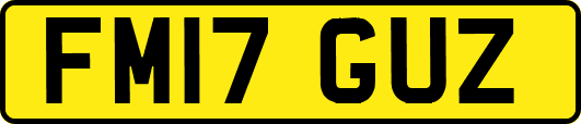 FM17GUZ