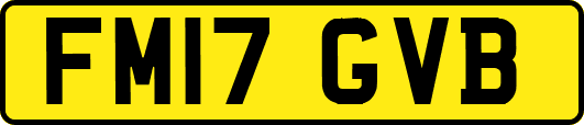 FM17GVB