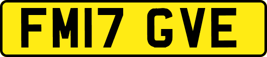 FM17GVE