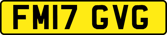 FM17GVG