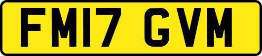 FM17GVM