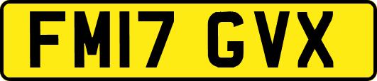 FM17GVX