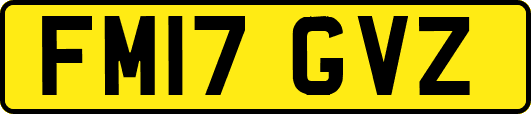 FM17GVZ