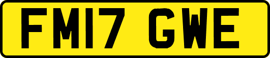 FM17GWE