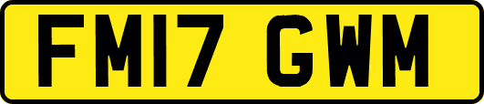 FM17GWM
