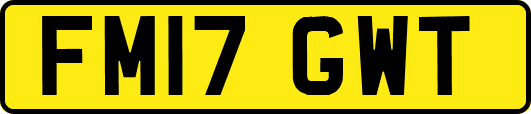 FM17GWT