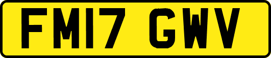 FM17GWV