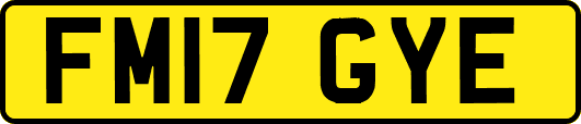 FM17GYE