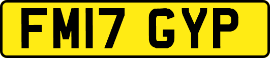 FM17GYP