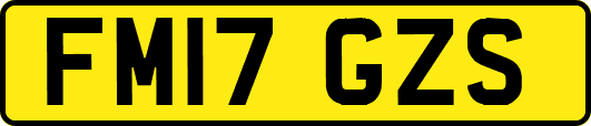 FM17GZS