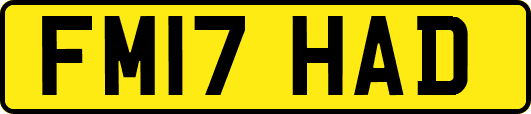 FM17HAD