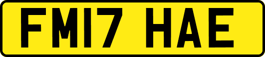 FM17HAE