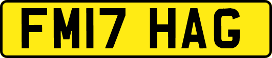 FM17HAG