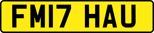 FM17HAU