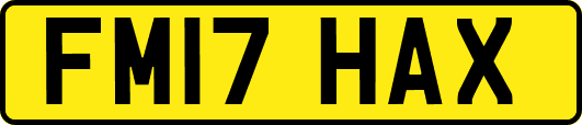 FM17HAX