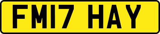FM17HAY