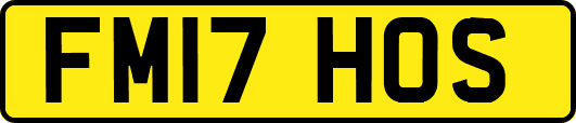 FM17HOS