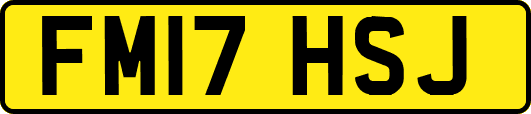 FM17HSJ