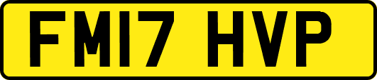 FM17HVP