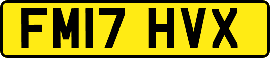 FM17HVX