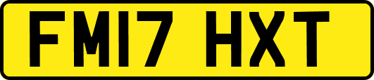 FM17HXT