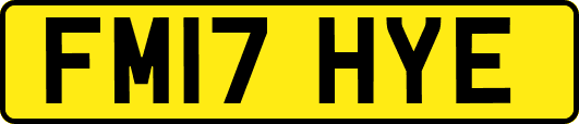 FM17HYE