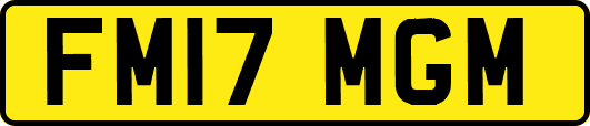 FM17MGM