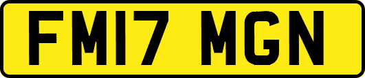FM17MGN