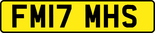 FM17MHS