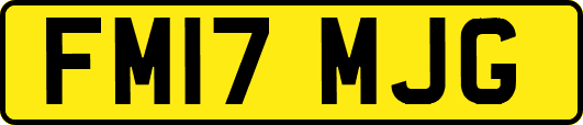 FM17MJG