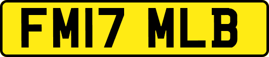 FM17MLB