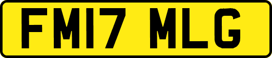 FM17MLG