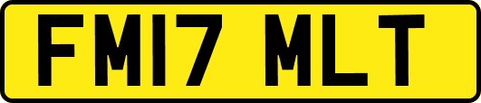 FM17MLT