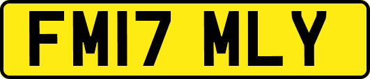 FM17MLY