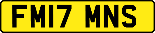 FM17MNS
