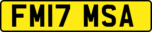 FM17MSA