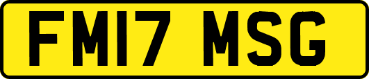 FM17MSG