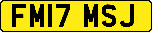 FM17MSJ