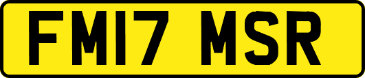 FM17MSR