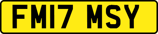 FM17MSY