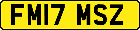 FM17MSZ