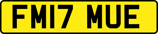 FM17MUE