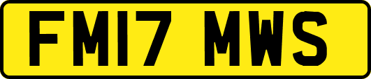 FM17MWS