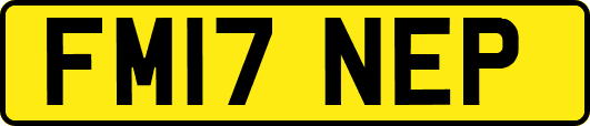 FM17NEP