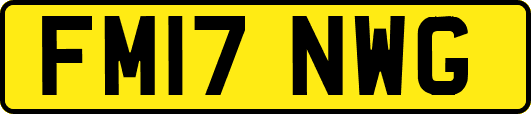 FM17NWG