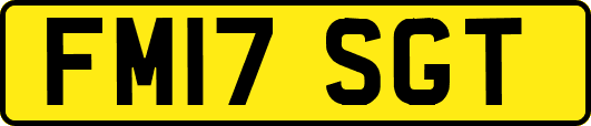 FM17SGT