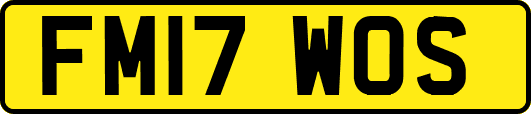 FM17WOS